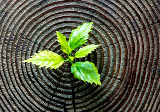 Media item displaying Impact Investing